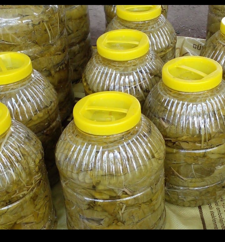 Salamura yaprak (5 kg)