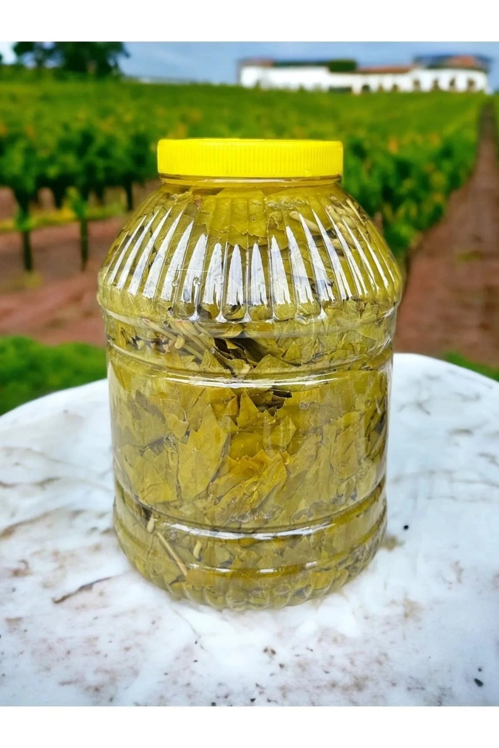 Salamura yaprak (5 kg)